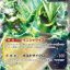 Iron Thorns ex #33 Pokémon card featuring a green and yellow design from the Japanese Crimson Haze series.